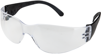 Safety Glasses 2004