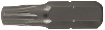 S2 Torx Screwdriver Bits